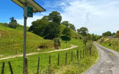 The Camera Who Cried Wolf!